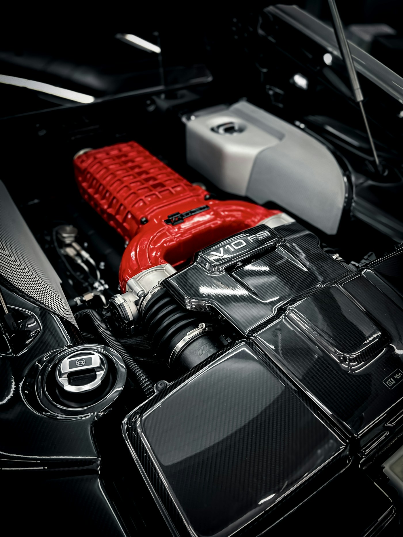 Exotic engine bay, cleaned and detailed
